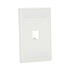 Placa de Pared Vertical Clásica, Salida Para 1 Puerto Mini-Com, Con Espacios Para Etiquetas, Color Blanco Mate