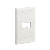 Placa de Pared Vertical Clásica, Salida Para 2 Puertos Mini-Com, Con Espacios Para Etiquetas, Color Blanco