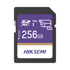 Memoria SD Clase 10 de 256 GB / Especializada Para Videovigilancia