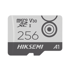 Memoria MicroSD / Clase 10 de 256 GB / Especializada Para Videovigilancia Movil (Uso 24/7) / Soporta Altas Temperaturas / 95 MB/s Lectura / 55 MB/s Escritura