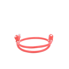 Cable de parcheo UTP Cat6 - 0.5 m - rojo