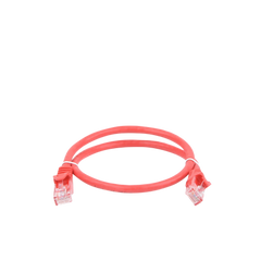 Cable de parcheo UTP Cat6 - 0.5 m - rojo