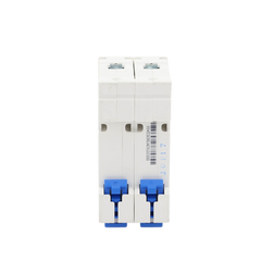 Pastilla para Riel Din, 2 Polos, 10 Amp, Vca:110/415v, 6kA, Catálogo: NXB632PC10, Serie: NXB-63.
