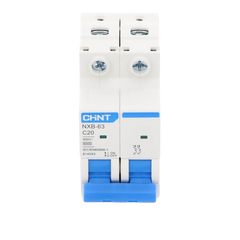 Pastilla para Riel Din, 2 Polos, 20 Amp, Vca:110/415v, 6kA, Catálogo: NXB632PC20, Serie: NXB-63.