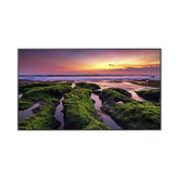Pantalla Profesional LED de 55", UHD 4K (3840x2160p), Entradas de Video HDMI, Bocinas Integradas de 10 W. Compatible VESA