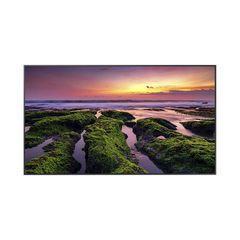 Pantalla Profesional LED de 65", UHD 4K (3840x2160p) / Entradas de Video HDM / Bocinas Integradas de 10 W. Compatible VESA / compatible con MagicInfo