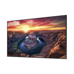 Pantalla Profesional LED de 65", UHD 4K (3840x2160p), Entradas de Video HDMI/DisplayPort, Bocinas Integradas de 10 W. Compatible VESA. Modo de Simulación DICOM