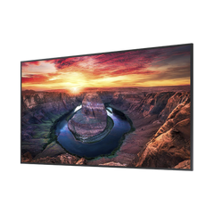 Pantalla Profesional LED de 65", UHD 4K (3840x2160p), Entradas de Video HDMI/DisplayPort, Bocinas Integradas de 10 W. Compatible VESA. Modo de Simulación DICOM