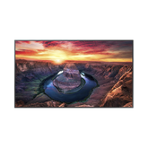 Pantalla Profesional LED de 65", UHD 4K (3840x2160p), Entradas de Video HDMI/DisplayPort, Bocinas Integradas de 10 W. Compatible VESA. Modo de Simulación DICOM