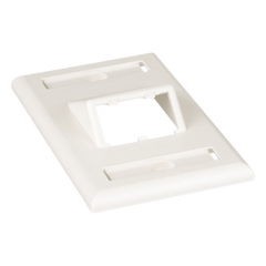 Placa de Pared Vertical Clásica, Salida Para 2 Puertos Mini-Com Inclinados, Con Espacios Para Etiquetas, Color Blanco Mate