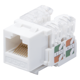 Módulo Jack Keystone Cat6 con Terminación 110 (Punchdown) para Faceplate - Color Blanco