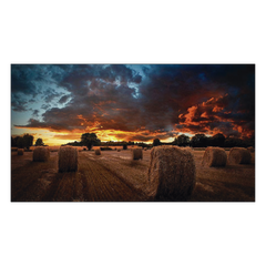 Pantalla Profesional de 46" para Video Wall / Full HD (1080p) / Display port - HDMI - DVI / 24/7 / soporta conexion Daisy chain por DP / Bisel Ultra Delgado de 2.25mm / Compatible VESA 600x400