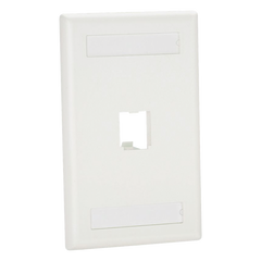 Placa de Pared Vertical Clásica, Salida Para 1 Puerto Mini-Com, Con Espacios Para Etiquetas, Color Blanco
