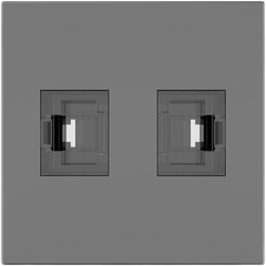 Módulo Pasivo TBUS / 2 Puertos RJ45 Passthrough / Entrada y Salida 2 Hembras / Color Negro Grafito RAL 9011