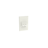 Placa de Pared Vertical Clásica, Salida Para 2 Puertos Mini-Com Inclinados, Con Espacios Para Etiquetas, Color Blanco