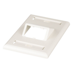 Placa de Pared Vertical Clásica, Salida Para 2 Puertos Mini-Com Inclinados, Con Espacios Para Etiquetas, Color Blanco Mate