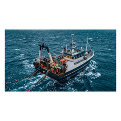 Radio Móvil Marino VHF / 25W / IPX4 / DSC Clase D con GPS / Pantalla LCD / Blanco