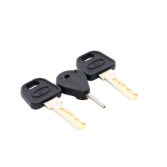 Llave de Puerta de Estación de Panico DS-PEA3M-21 / DS-PEA3M-21H (Repuesto)