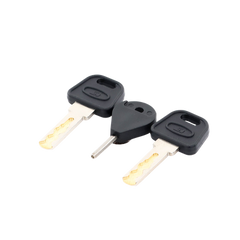 Llave de Puerta de Estación de Panico DS-PEA3M-21 / DS-PEA3M-21H (Repuesto)