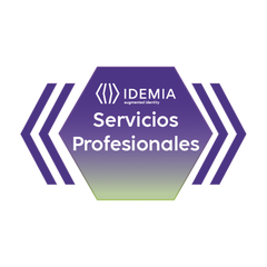 REMOTE ASSISTANCE JUNIOR 4 HORAS