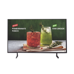 Television LED Profesional de 65" / UHD 4K (3840x2160p) / Entradas de Video HDMI, Bocinas Integradas de 10 W. Compatible VESA