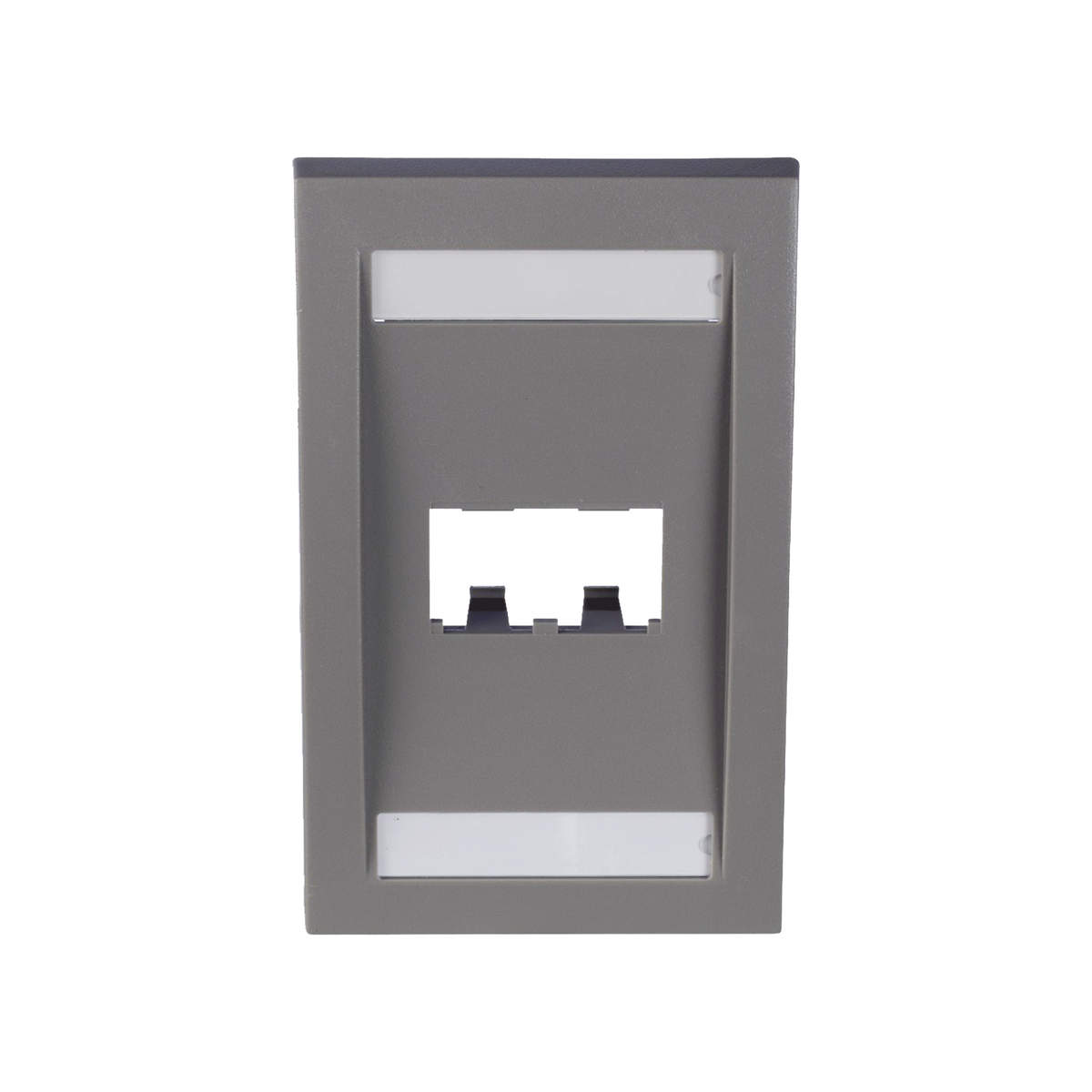 Placa de Pared Vertical Ejecutiva, Salida Para 2 Puertos Mini-Com, Con Espacios Para Etiquetas, Color Gris