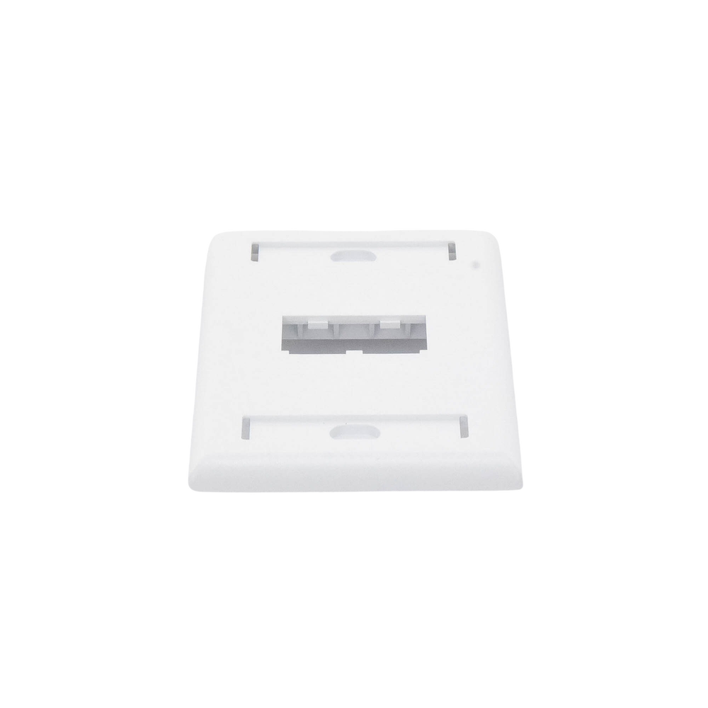 Placa de Pared Vertical Clásica, Salida Para 2 Puertos Mini-Com, Con Espacios Para Etiquetas, Color Blanco