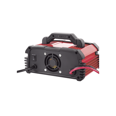Cargador de Baterías / 12 o 24 Vcc / hasta 250 Ah / 25 A / Display LCD