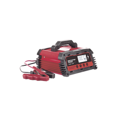 Cargador de Baterías / 12 o 24 Vcc / hasta 250 Ah / 25 A / Display LCD