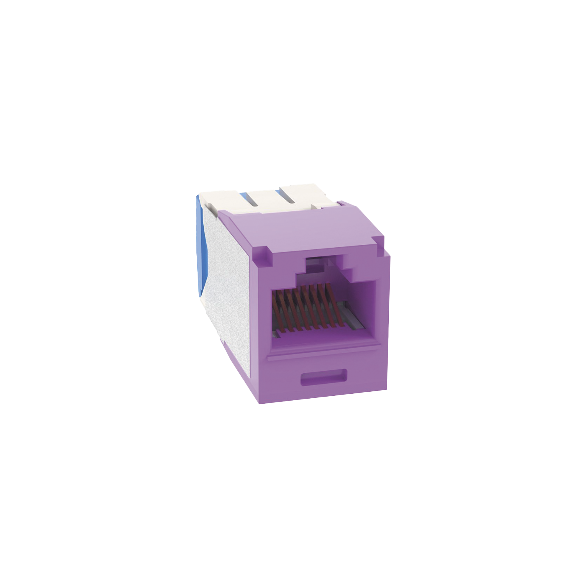 Conector Jack RJ45 Estilo TG, Mini-Com, Categoría 6A, de 8 Posiciones y 8 Cables, Color Violeta