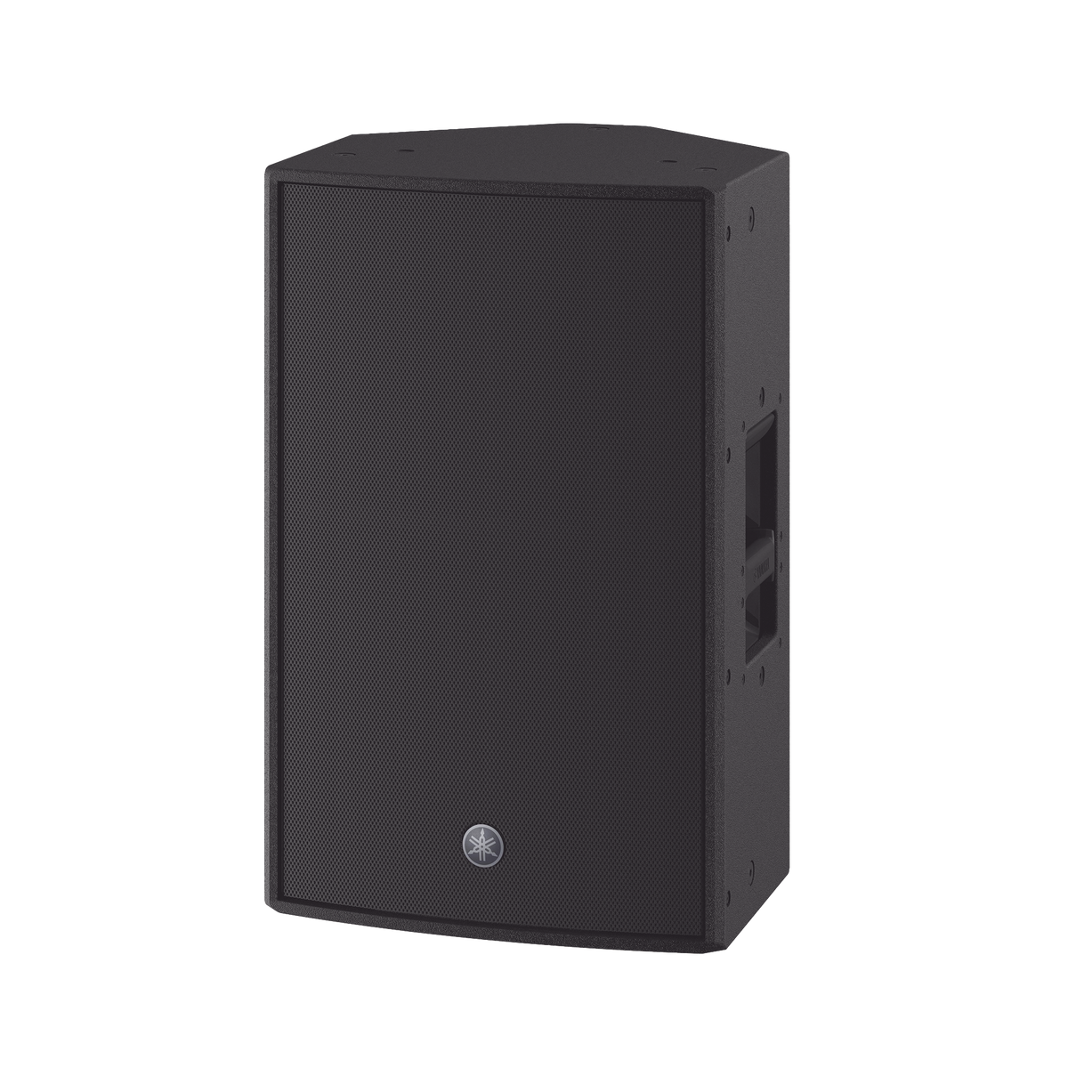 Altavoz Activo 12" | 2000w | Tweeter 2" | DSP integrado | Display de configuración | Ideal para Monitor de Piso o instalación