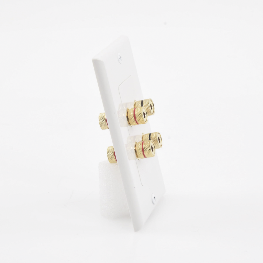 Placa de Pared | Postes de Unión Tipo Banana | Conexión para 2 Altavoces | Fácil Instalación | Conectores Chapados en Oro