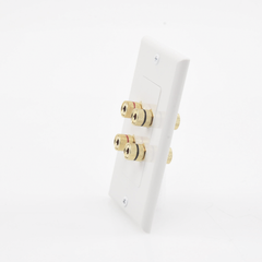 Placa de Pared | Postes de Unión Tipo Banana | Conexión para 2 Altavoces | Fácil Instalación | Conectores Chapados en Oro