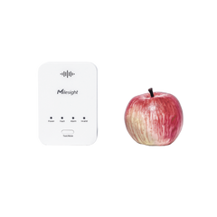 Sensor Detector de Fugas de Gas con LoRaWAN