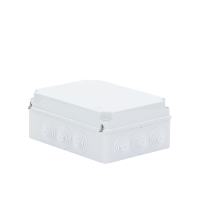 Caja de derivación de PVC Auto-extinguible con 12 entradas, tapa atornillada, 300x220x120 MM, Para Exterior (IP55)