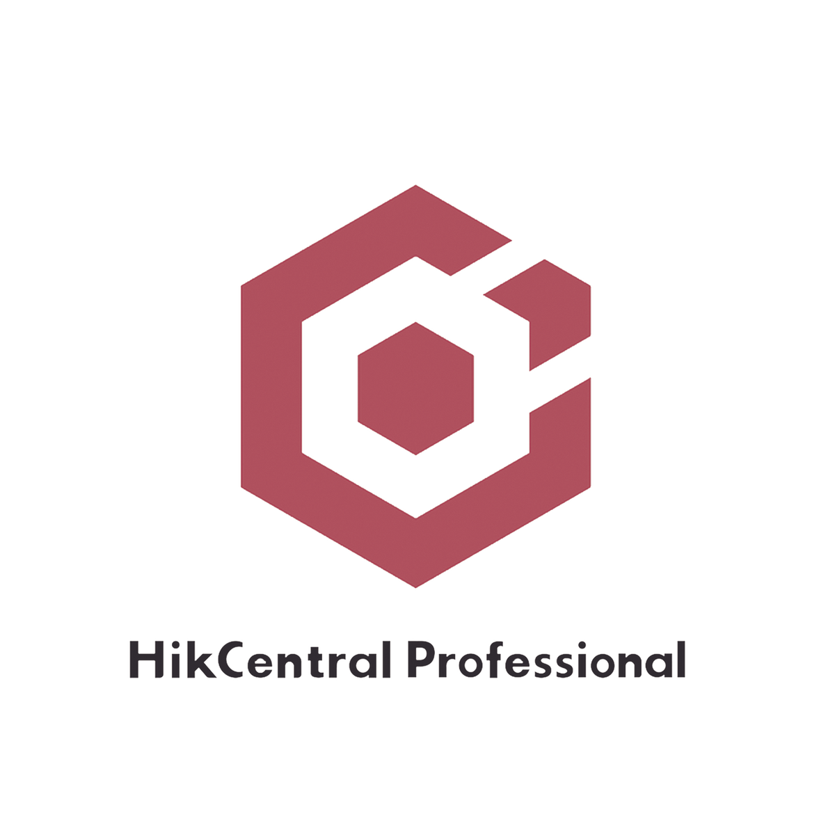 Hik-Central Professional / Licencia Base para Grabadores Móviles / Incluye 10 Unidades (HikCentral-P-MS-10Ch/Base/Promo)