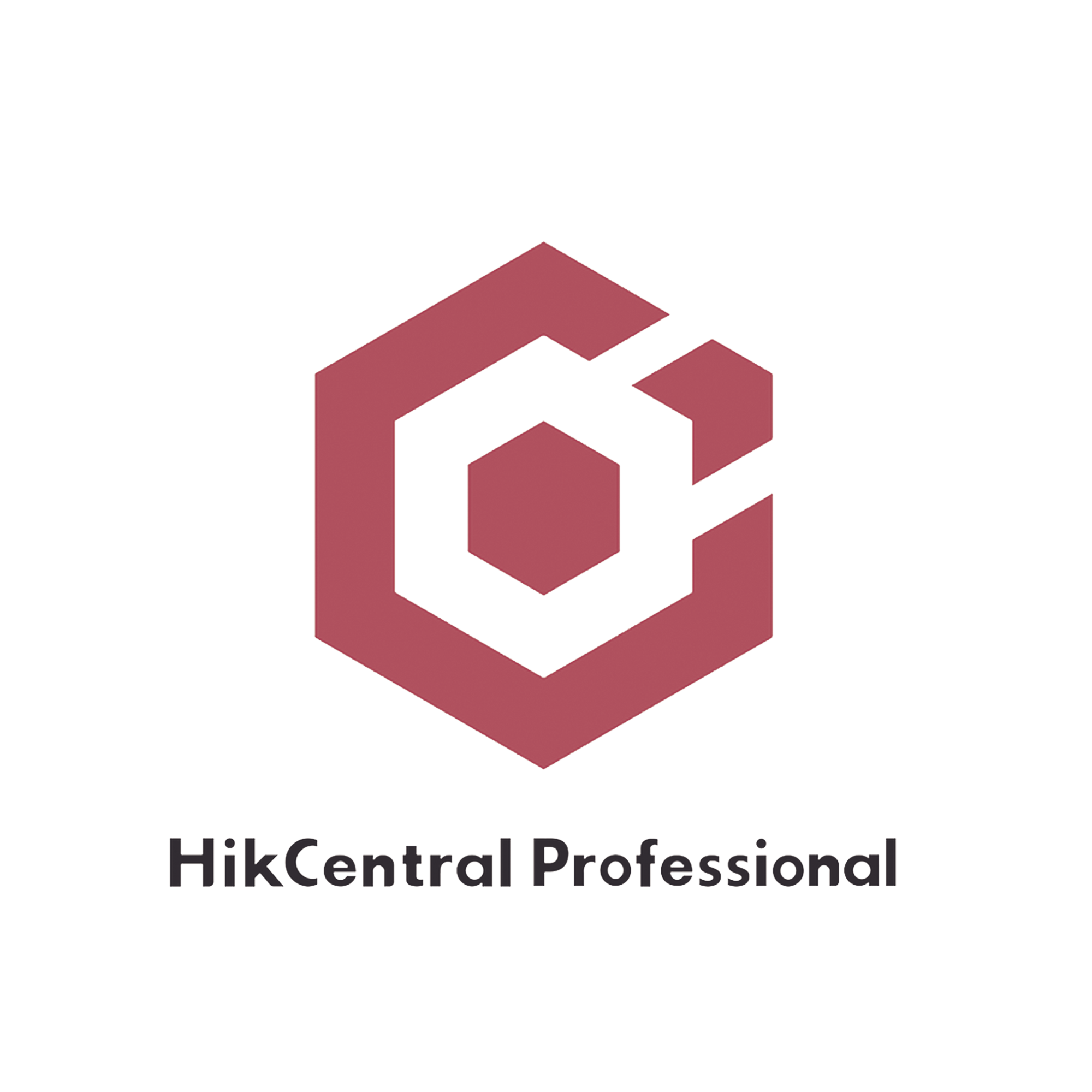 Hik-Central Professional / Licencia para Agregar 1 Grabador Móvil Adicional (HikCentral-P-MS-1Unit)