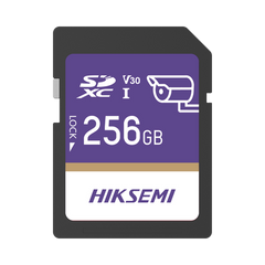 Memoria SD Clase 10 de 256 GB / Especializada Para Videovigilancia