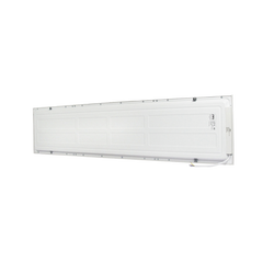 Panel LED Rectangular Empotrado o Suspendido /1195 x 295 mm / 127 Vca~60Hz / TC 6 500 K / Angulo de Luz de 140°