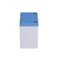 Batería de respaldo 12 V | 55 Ah |  AGM | Especial para Seguridad Electrónica | UPS | Sistemas de Emergencia  | Vida útil 5 años | Terminales T2