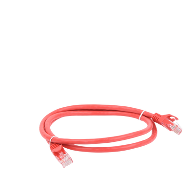 Cable de parcheo UTP Cat6 - 1 m - rojo