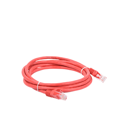 Cable de parcheo UTP Cat6 - 2 m - rojo