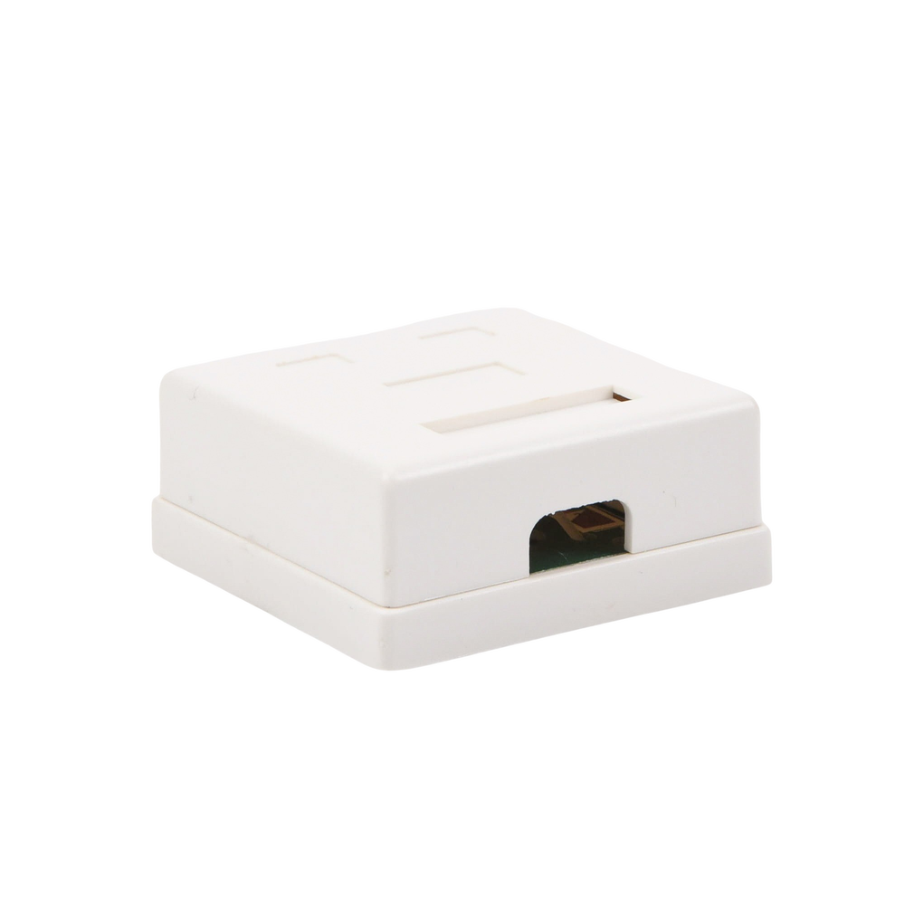 Caja de Pared con 2 Puertos, Incluye 2 Jacks UTP Cat5e Keystone