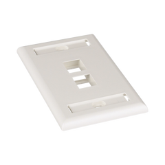Placa de Pared Vertical, Salida Para 2 Puertos Keystone, Con Espacios Para Etiquetas, Color Blanco Mate