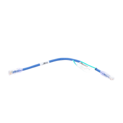 Cable de Parcheo UTP Categoría 6, con Plug Modular en Cada Extremo - 0.3 Metros (1 Pie) - Azul