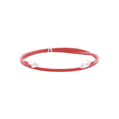 Cable de parcheo UTP Categoría 6, con plug modular en cada extremo - 1 m. - Rojo