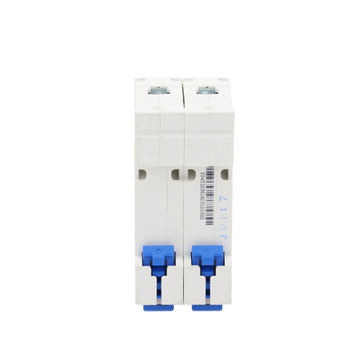 Pastilla para Riel Din, 2 Polos, 10 Amp, Vca:110/415v, 6kA, Catálogo: NXB632PC10, Serie: NXB-63.