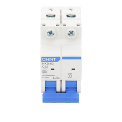 Pastilla para Riel Din, 2 Polos, 32 Amp, Vca:110/415v, 6kA, Catálogo: NXB632PC32, Serie: NXB-63.