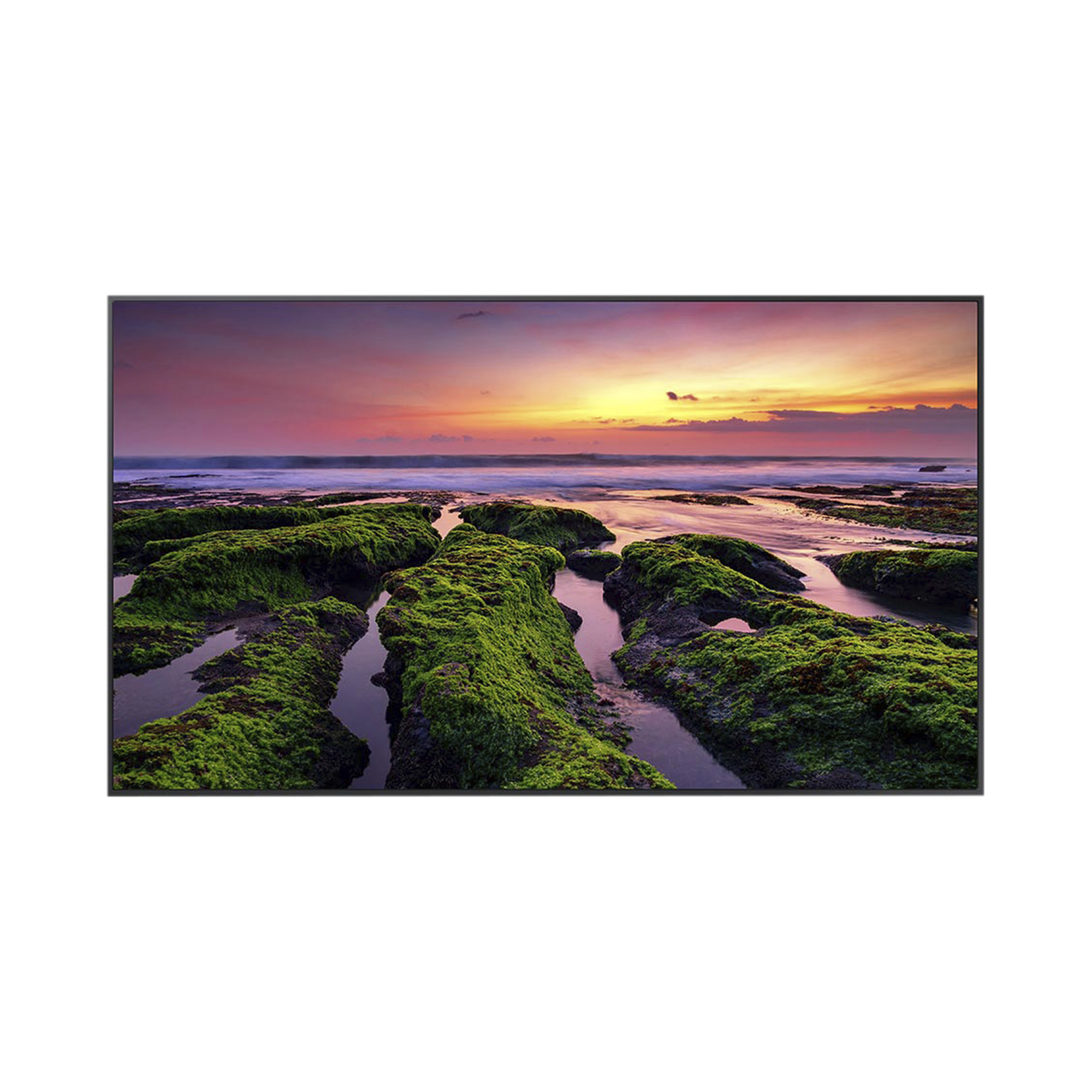 Pantalla Profesional LED de 75", UHD 4K (3840x2160p), Entradas de Video HDM, Bocinas Integradas de 10 W. Compatible VESA / compatible con Magic Info