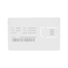 RENOVACION POR UN AÑO DE SERVICIO PARA SIM25MB